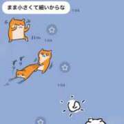 ヒメ日記 2026/01/25 07:50 投稿 あすか 奥鉄オクテツ東京店（デリヘル市場）