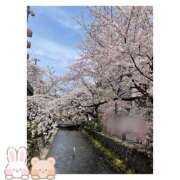 ヒメ日記 2025/04/26 10:44 投稿 ゆうか みつらん鉄道