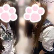 ヒメ日記 2025/04/26 15:54 投稿 ゆうか みつらん鉄道