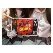 ヒメ日記 2025/09/22 09:14 投稿 ゆうか みつらん鉄道