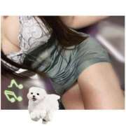 ヒメ日記 2025/10/20 12:36 投稿 ゆうか みつらん鉄道