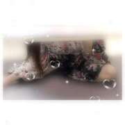 ヒメ日記 2025/11/02 08:47 投稿 ゆうか みつらん鉄道