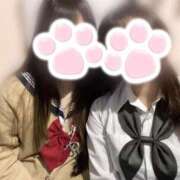 ヒメ日記 2025/12/20 20:11 投稿 ゆうか みつらん鉄道