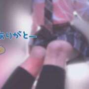 ヒメ日記 2026/03/01 09:44 投稿 ゆうか みつらん鉄道