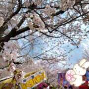 ヒメ日記 2026/04/03 12:38 投稿 ゆうか みつらん鉄道