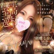 ヒメ日記 2025/11/18 15:54 投稿 胡蝶　しおん クラブゴージャス 梅田店