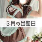 ヒメ日記 2025/02/20 00:16 投稿 るか 東京妻next (京都グループ)