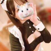 ヒメ日記 2025/09/25 00:12 投稿 るか 東京妻next (京都グループ)