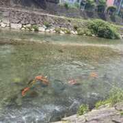 ヒメ日記 2025/06/28 14:32 投稿 雅(みやび) モアグループ西川口人妻城