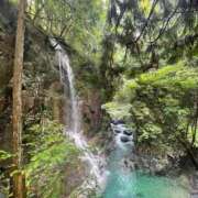 ヒメ日記 2025/09/01 14:21 投稿 雅(みやび) モアグループ西川口人妻城