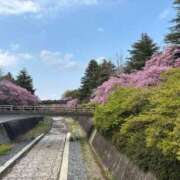 雅(みやび) 旅！ モアグループ西川口人妻城