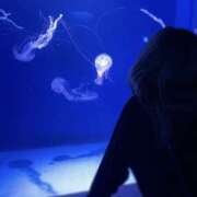 ヒメ日記 2025/12/17 15:08 投稿 めいさ ラッシュアワー