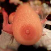 ヒメ日記 2026/03/18 15:52 投稿 めいさ ラッシュアワー