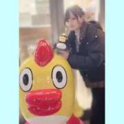 ヒメ日記 2025/09/18 13:35 投稿 めい 素人系イメージSOAP 彼女感 宇都宮本館