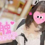 ヒメ日記 2025/06/15 13:32 投稿 ゆい 鶯谷デリヘル倶楽部