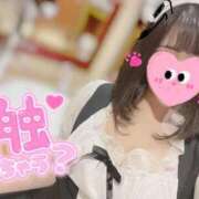 ヒメ日記 2026/05/05 12:49 投稿 ゆい 鶯谷デリヘル倶楽部