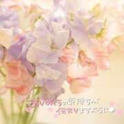 ヒメ日記 2025/05/23 20:12 投稿 すずか 治療院.LOVE小山店