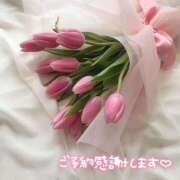 ヒメ日記 2025/12/06 13:51 投稿 すずか 治療院.LOVE小山店