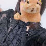 ヒメ日記 2025/02/26 11:24 投稿 あず 新橋フェアリーズ