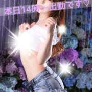 ヒメ日記 2025/05/09 09:05 投稿 リナ バイオレンス