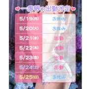 ヒメ日記 2025/05/19 21:55 投稿 リナ バイオレンス