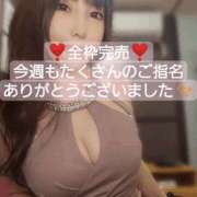 ヒメ日記 2025/06/09 02:25 投稿 リナ バイオレンス