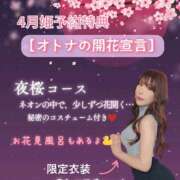 ヒメ日記 2026/04/01 19:35 投稿 リナ バイオレンス