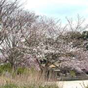 ヒメ日記 2025/04/09 14:12 投稿 にこ 土浦ハッピーマットパラダイス