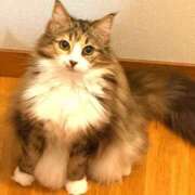 ヒメ日記 2025/06/01 08:17 投稿 にこ 土浦ハッピーマットパラダイス