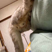 ヒメ日記 2025/06/24 07:54 投稿 にこ 土浦ハッピーマットパラダイス