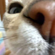 ヒメ日記 2025/06/26 07:47 投稿 にこ 土浦ハッピーマットパラダイス