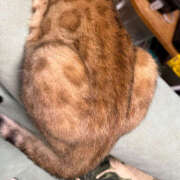 ヒメ日記 2025/08/14 07:57 投稿 にこ 土浦ハッピーマットパラダイス