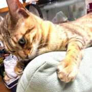 ヒメ日記 2025/08/16 16:47 投稿 にこ 土浦ハッピーマットパラダイス