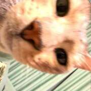 ヒメ日記 2025/11/20 08:07 投稿 にこ 土浦ハッピーマットパラダイス