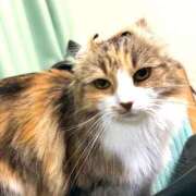 ヒメ日記 2025/11/30 07:27 投稿 にこ 土浦ハッピーマットパラダイス