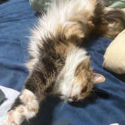 ヒメ日記 2025/12/14 08:27 投稿 にこ 土浦ハッピーマットパラダイス