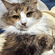 ヒメ日記 2025/12/30 13:17 投稿 にこ 土浦ハッピーマットパラダイス