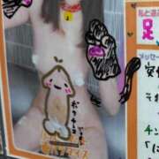 ヒメ日記 2026/03/31 06:57 投稿 にこ 土浦ハッピーマットパラダイス