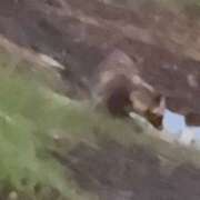 ヒメ日記 2026/06/09 07:17 投稿 にこ 土浦ハッピーマットパラダイス