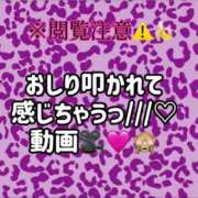 ヒメ日記 2024/05/29 16:03 投稿 ここも クラブKG