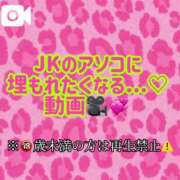 ヒメ日記 2025/07/01 17:13 投稿 ここも クラブKG