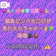 ヒメ日記 2025/07/25 21:04 投稿 ここも クラブKG