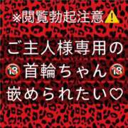 ヒメ日記 2025/09/18 19:13 投稿 ここも クラブKG