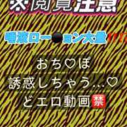 ヒメ日記 2025/10/16 19:13 投稿 ここも クラブKG