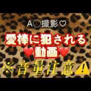 ヒメ日記 2025/11/12 19:03 投稿 ここも クラブKG