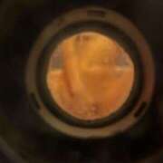 ヒメ日記 2026/04/10 07:03 投稿 ここも クラブKG