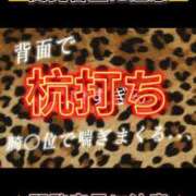 ヒメ日記 2026/04/13 21:13 投稿 ここも クラブKG