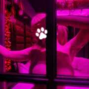 ヒメ日記 2026/05/18 07:13 投稿 ここも クラブKG