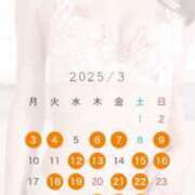 ヒメ日記 2025/02/25 19:46 投稿 もえ マリン千姫