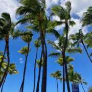 ヒメ日記 2025/07/13 11:07 投稿 みやび 奥様の実話 谷九店